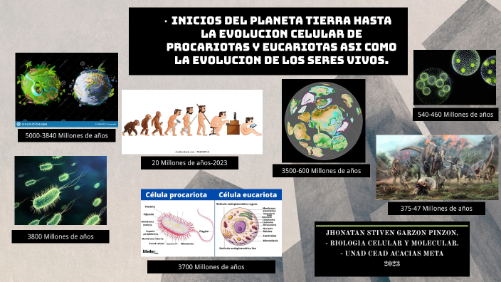 Inicios del planeta tierra hasta la evolución celular de procariotas y ...