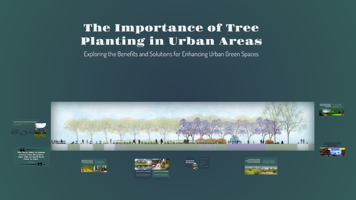The Importance of Tree Planting in Urban Areas by om - on Prezi