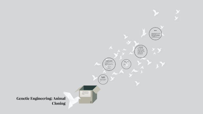 Genetic Engineering: Animal Cloning by Sam lee on Prezi