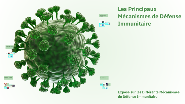 Les Principaux Mécanismes de Défense Immunitaire by jaby panzu on Prezi