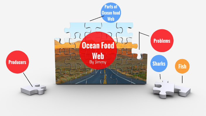 Ocean Food Web (Sharks) by Jimmy J.Y