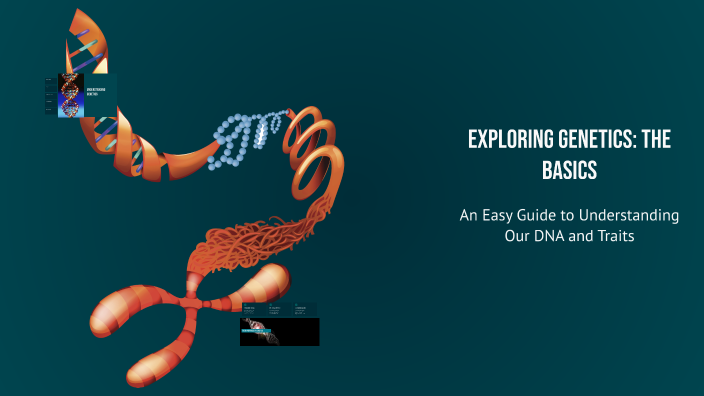 Exploring Genetics: The Basics by Yvonne Baron on Prezi