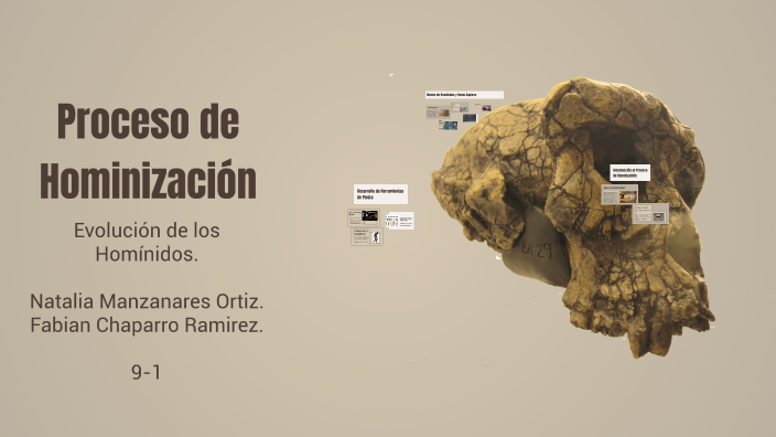 Proceso de Hominización by Natalia Ortiz on Prezi