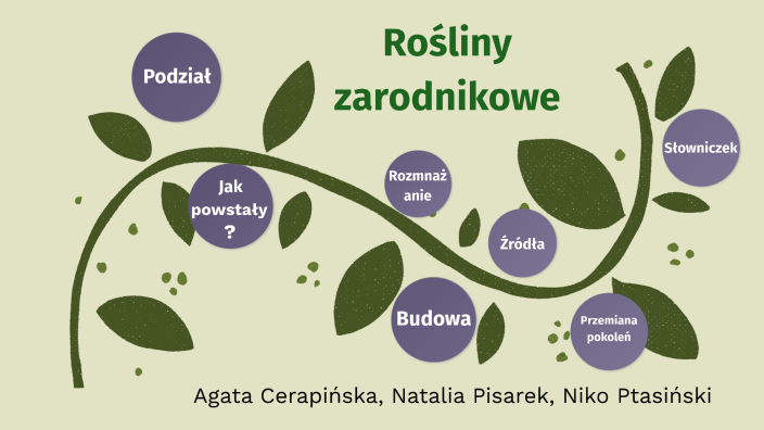 rośliny zarodnikowe by Nico Ptasinski on Prezi