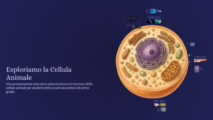 Esploriamo la Cellula Animale by valentina Marchetti on Prezi