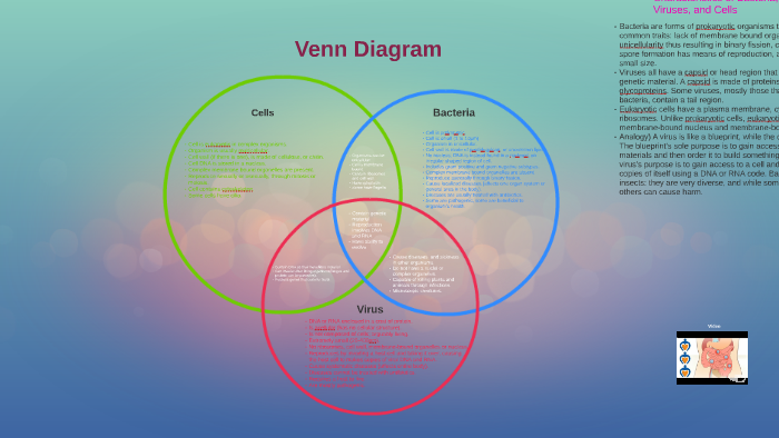 Bacteria And Viruses Venn Diagram