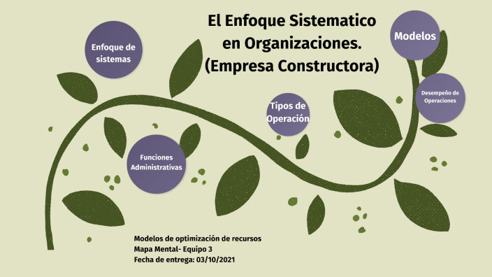 El Enfoque Sistemático en Organizaciones.(Empresa Constructora) by Nestor  Daniel Mendoza