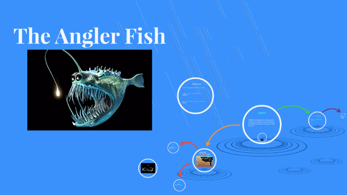 The Angler Fish by Tyreece Joyner on Prezi