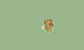 Untitled Prezi