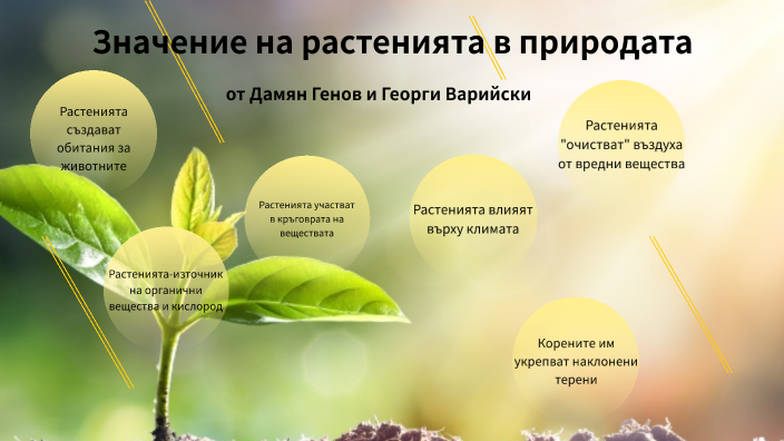 Значение на растенията в природата by Damyan Genov on Prezi