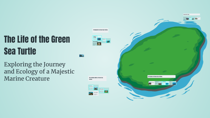 The Life of the Green Sea Turtle by Томирис Токубаева on Prezi