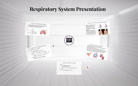 Respiratory System Presentation by Addie Daly on Prezi