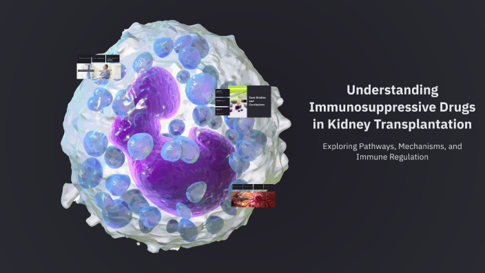 Understanding Immunosuppressive Drugs in Kidney Transplantation by ...