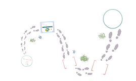 Untitled Prezi Untitled Prezi