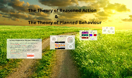 Theory of reasoned action essay