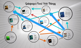 Galapagos Food Web Thingy by Maureen Mendez on Prezi