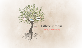 Lille Vildmose by Alberte Larsen on Prezi