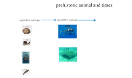 elephant food chain by jacob gardner on Prezi Biology Diagrams