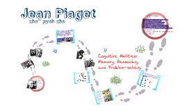 schema jean piaget