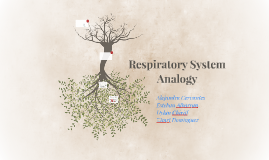 Respiratory System Analogy by Alejandra Cervantes on Prezi