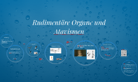 Rudimentäre Organe und Atavismen by Aslam Siddiqui on Prezi