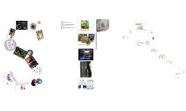 91264 Statistical Methods to Make an Inference